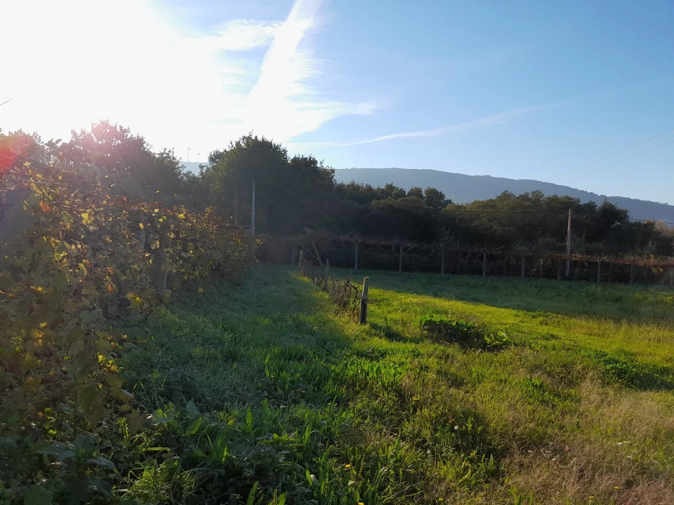 Moradia T5 para Venda em Venade e Azevedo Foto 32