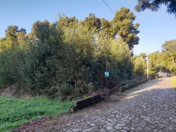 Terreno para Venda em Moledo e Cristelo