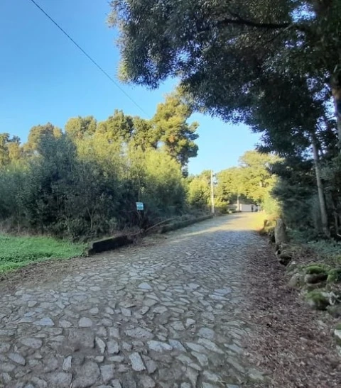 Terreno para Venda em Moledo e Cristelo