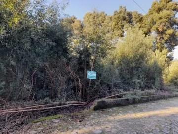 Terreno para Venda em Moledo e Cristelo