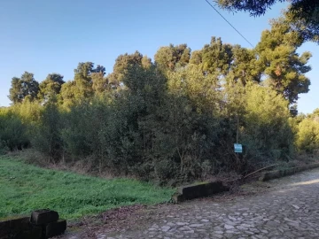 Terreno para Venda em Moledo e Cristelo