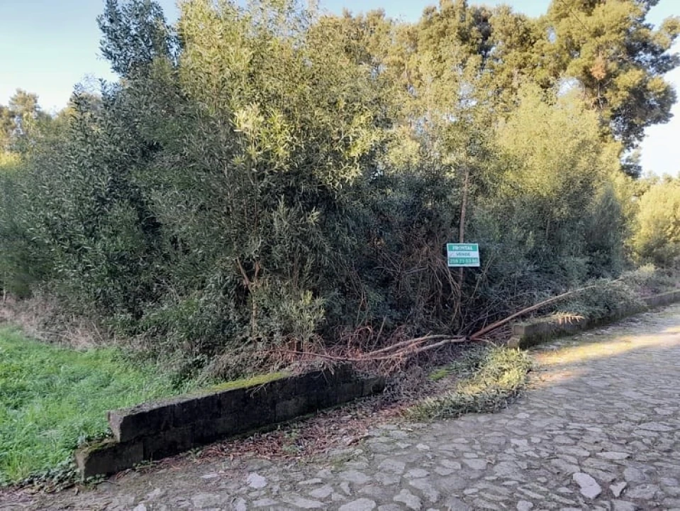 Terreno para Venda em Moledo e Cristelo Foto 3