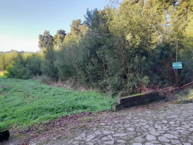 Terreno para Venda em Moledo e Cristelo Foto 5