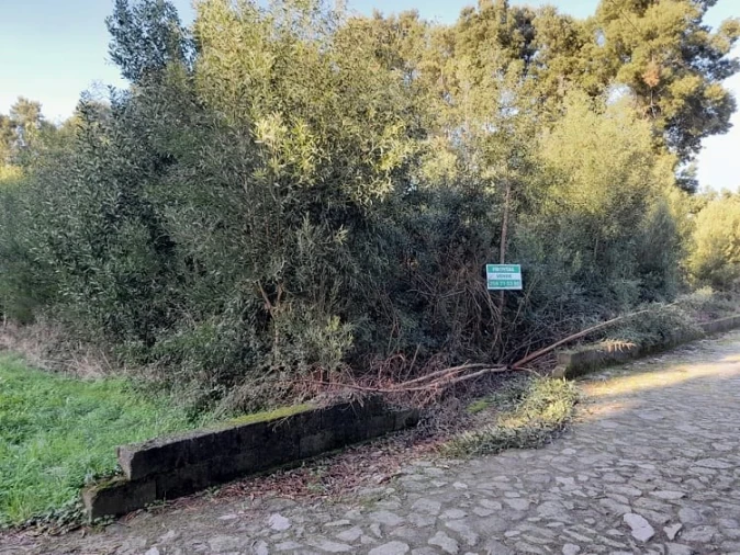 Terreno para Venda em Moledo e Cristelo Foto 3