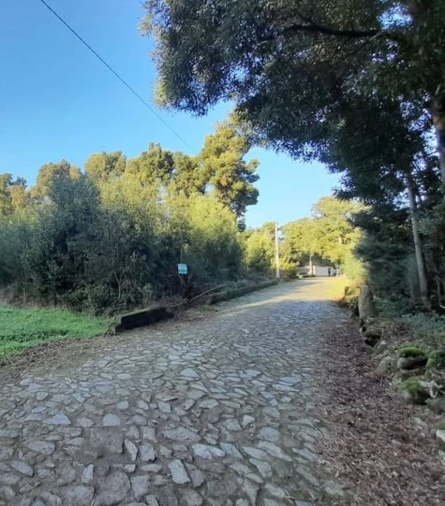 Terreno para Venda em Moledo e Cristelo Foto 2