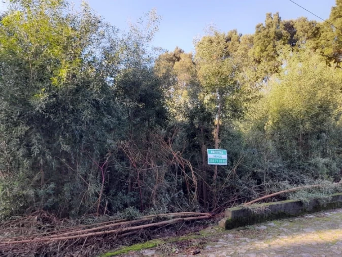 Terreno para Venda em Moledo e Cristelo Foto 4
