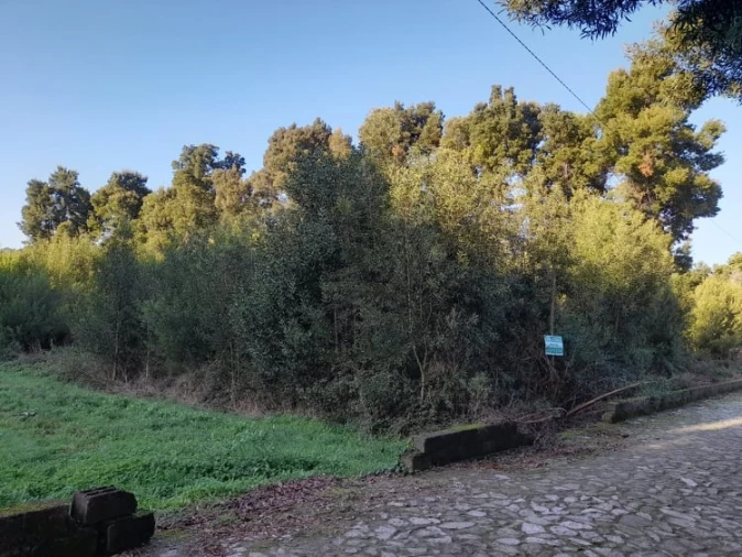 Terreno para Venda em Moledo e Cristelo Foto 7