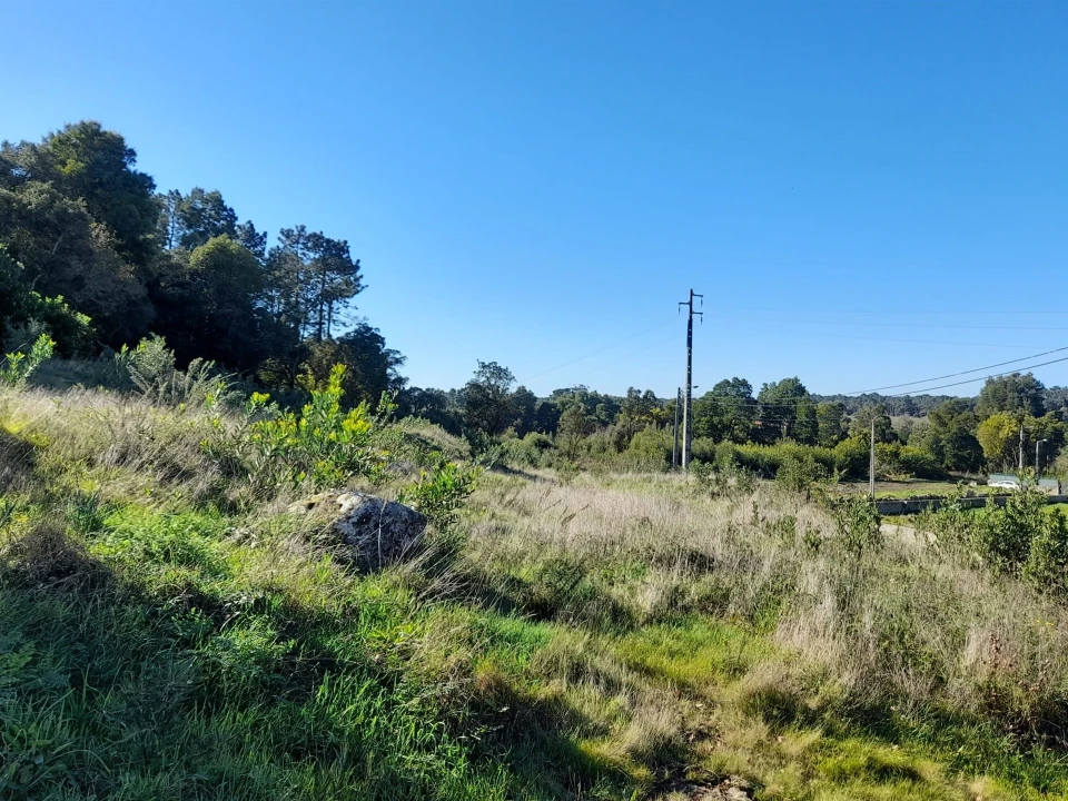 Terreno para Venda em Moledo e Cristelo Foto 7