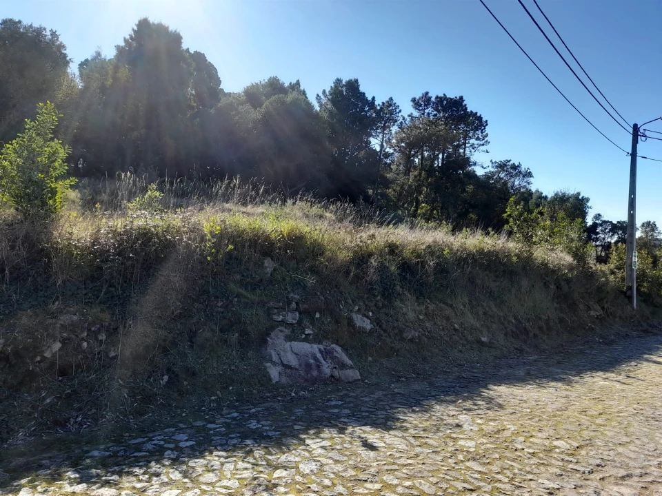 Terreno para Venda em Moledo e Cristelo Foto 6