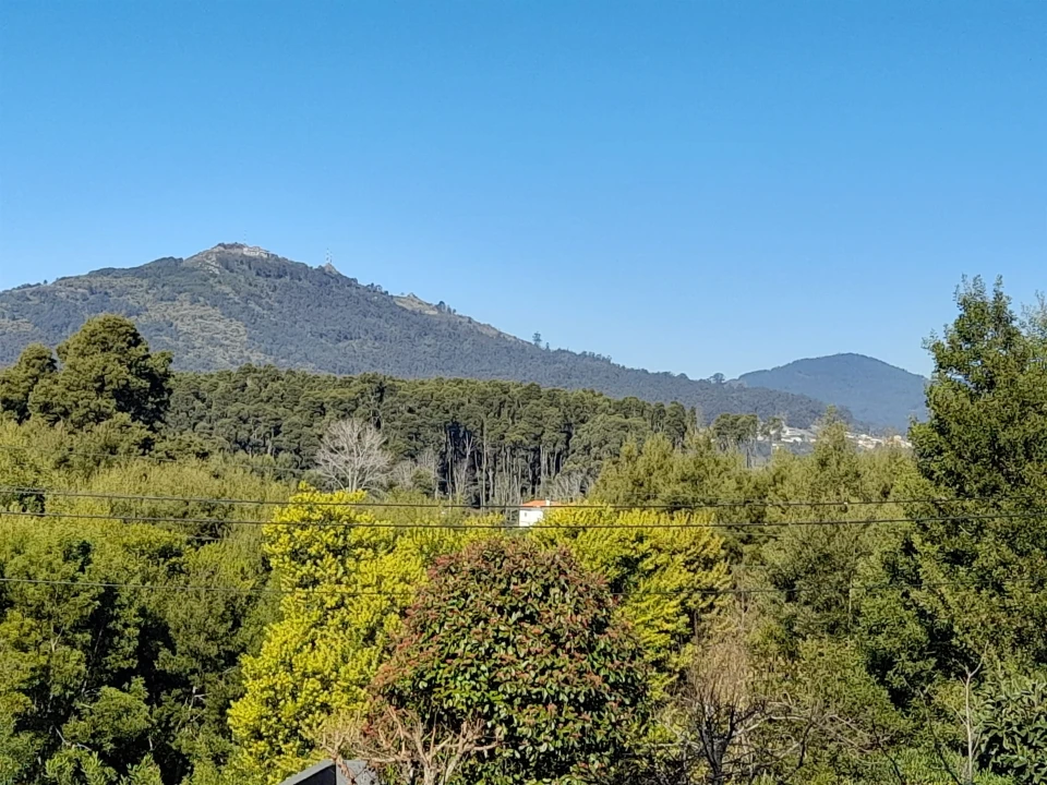 Terreno para Venda em Moledo e Cristelo Foto 9