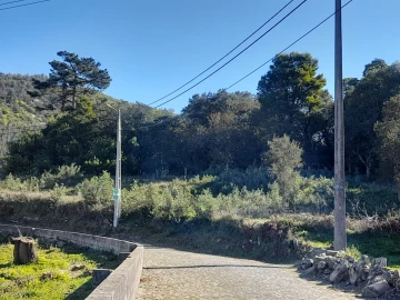 Terreno para Venda em Moledo e Cristelo