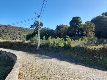Terreno para Venda em Moledo e Cristelo