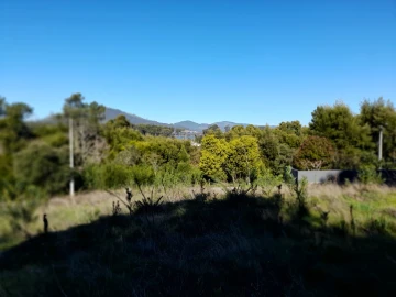 Terreno para Venda em Moledo e Cristelo