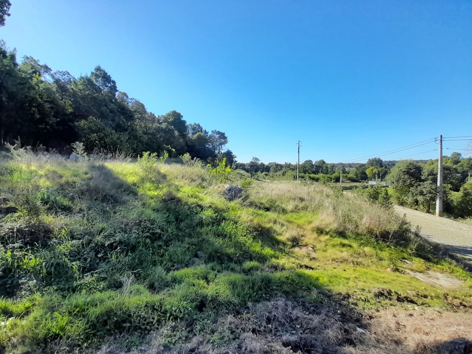 Terreno para Venda em Moledo e Cristelo Foto 11