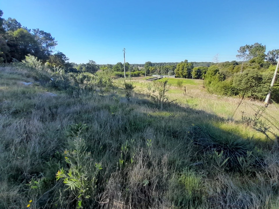 Terreno para Venda em Moledo e Cristelo Foto 13