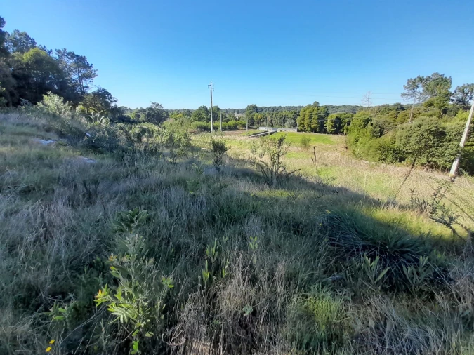 Terreno para Venda em Moledo e Cristelo Foto 13