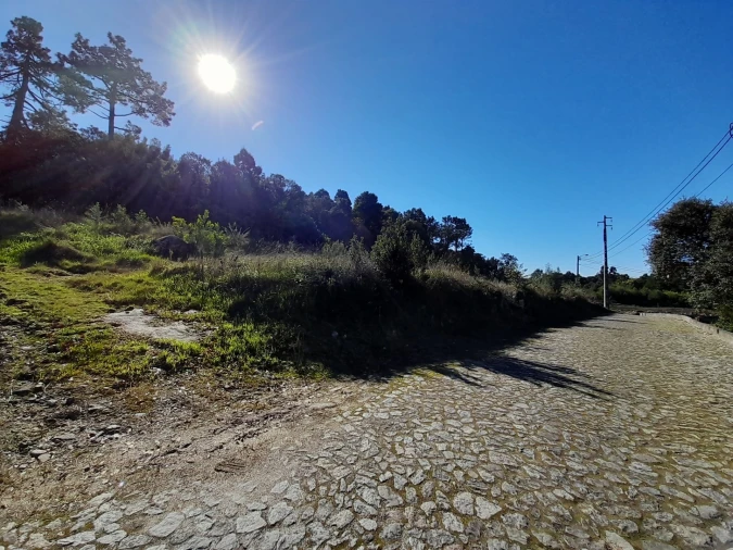 Terreno para Venda em Moledo e Cristelo Foto 5