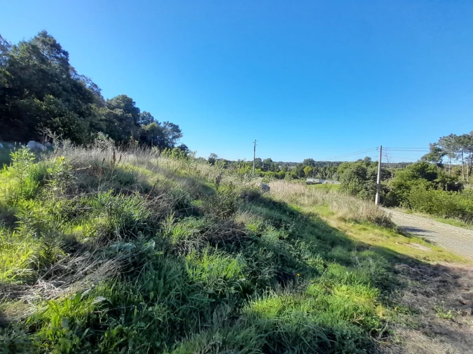 Terreno para Venda em Moledo e Cristelo Foto 8