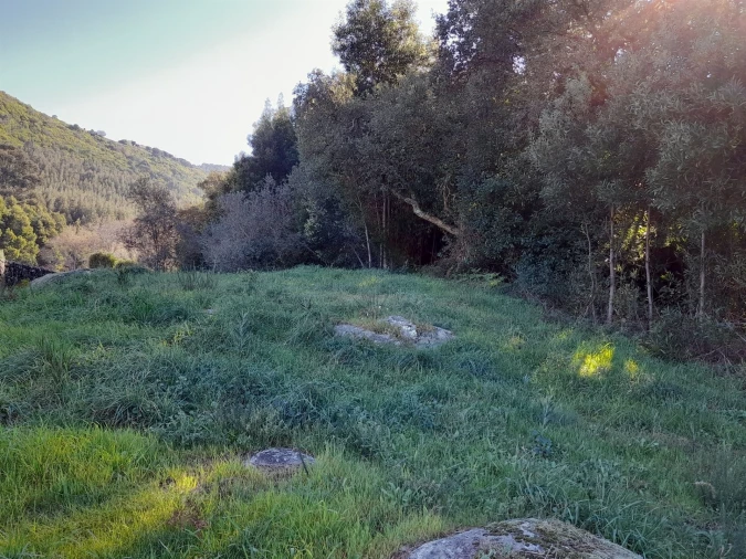 Terreno para Venda em Moledo e Cristelo Foto 10