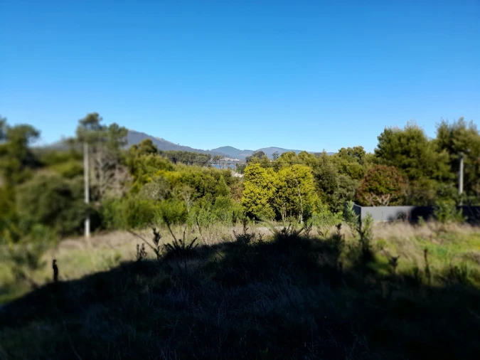 Terreno para Venda em Moledo e Cristelo Foto 12