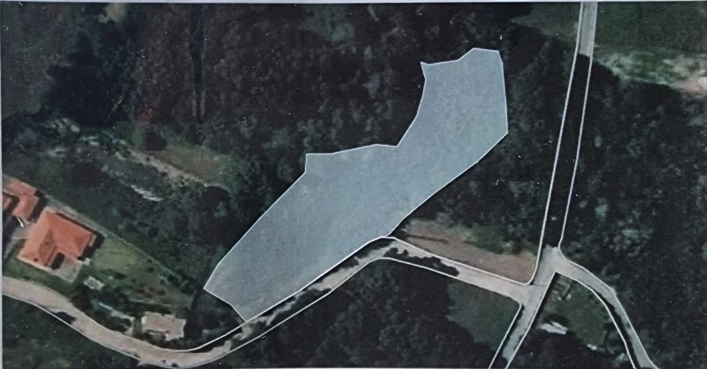 Terreno para Venda em Moledo e Cristelo Foto 14