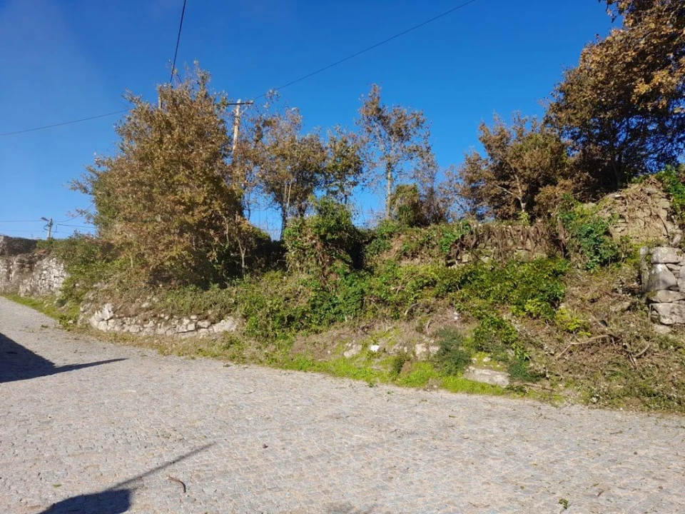 Terreno para Venda em Sopo Foto 6