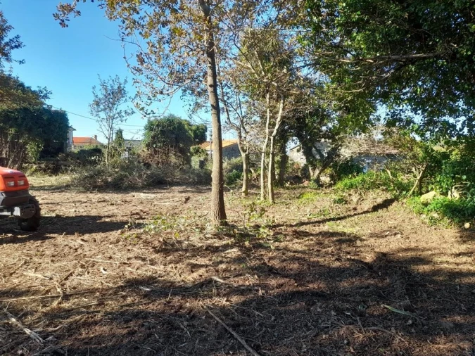 Terreno para Venda em Sopo Foto 11
