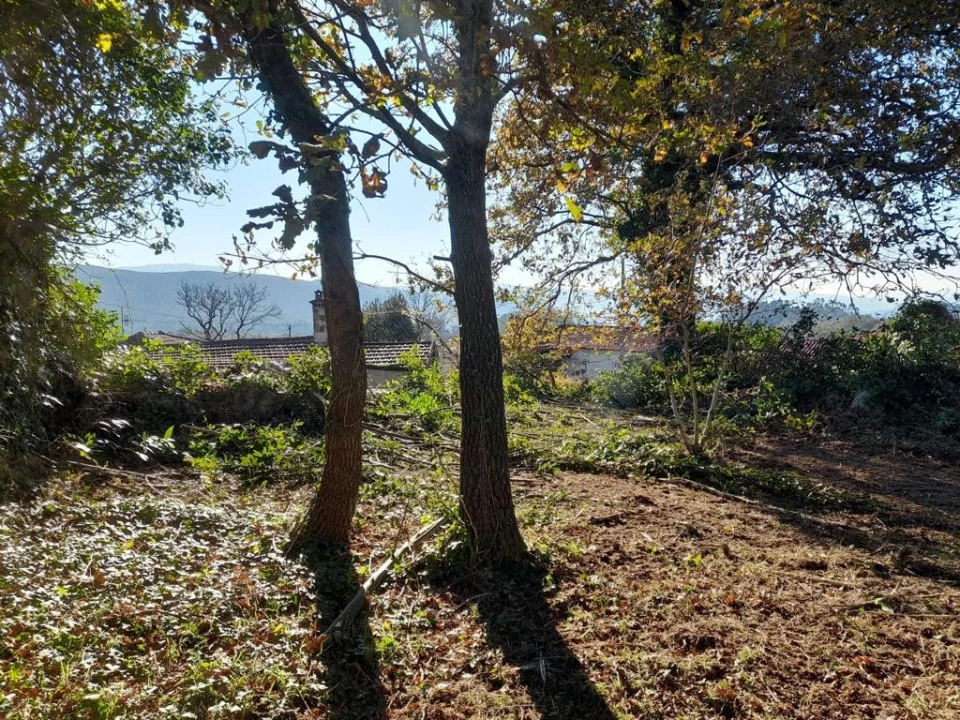 Terreno para Venda em Sopo Foto 14