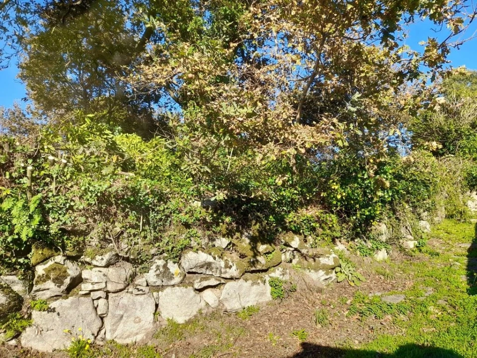 Terreno para Venda em Sopo Foto 5