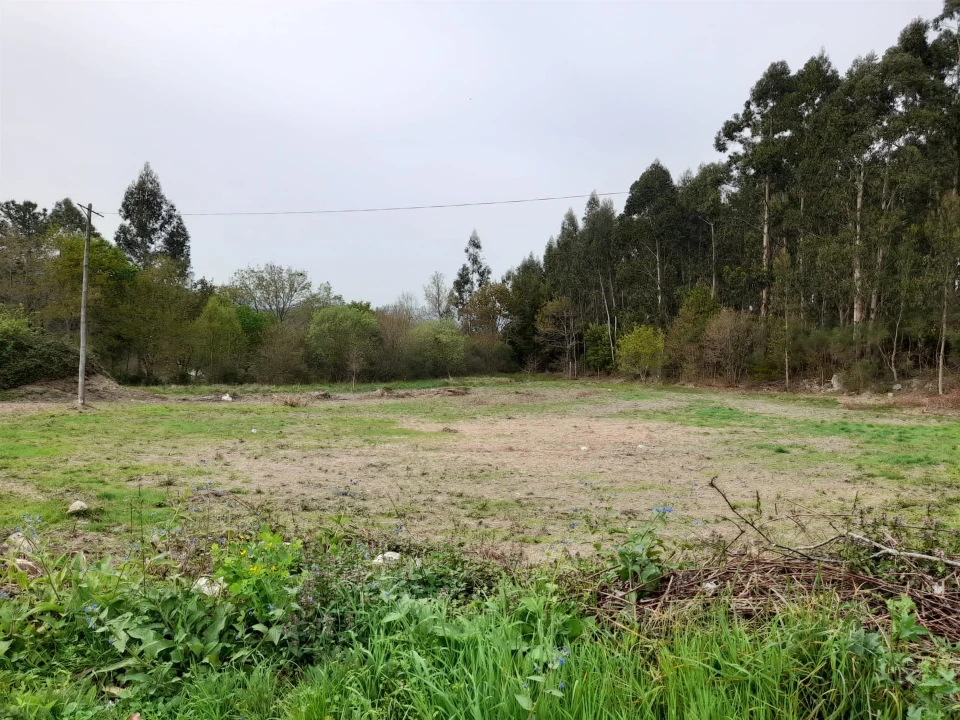 Terreno para Venda em Sapardos Foto 8