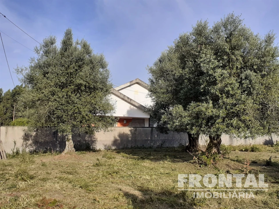 Terreno para Venda em Campos e Vila Meã Foto 9