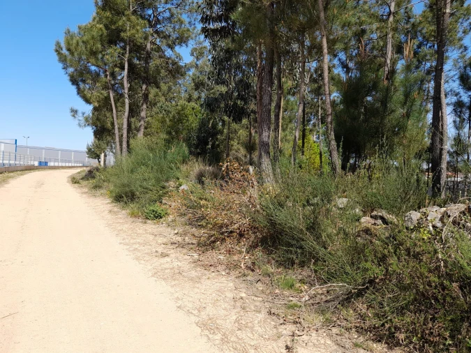 Terreno para Venda em Cornes Foto 5