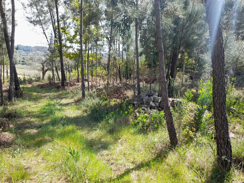Terreno para Venda em Cornes Foto 7