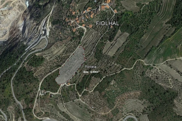 Terreno para Venda em Castanheiro do Norte e Ribalonga Foto 6