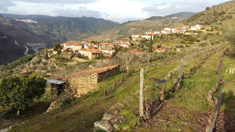 Terreno para Venda em Castanheiro do Norte e Ribalonga Foto 2