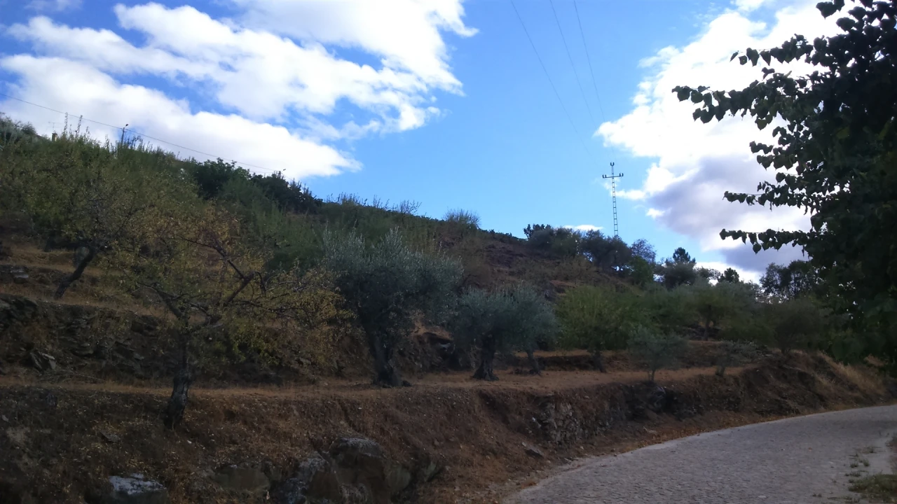 Terreno para Venda em Castanheiro do Norte e Ribalonga Foto 1
