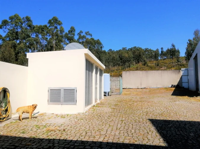 Armazém para Venda em Bougado (São Martinho e Santiago) Foto 4