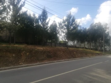 Terreno para Venda em Fânzeres e São Pedro da Cova