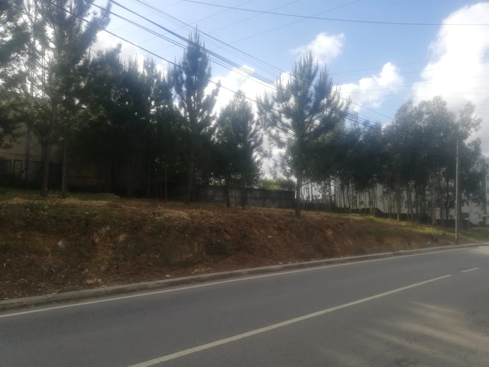 Terreno para Venda em Fânzeres e São Pedro da Cova Foto 5