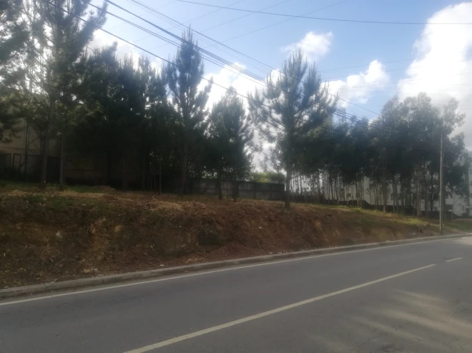 Terreno para Venda em Fânzeres e São Pedro da Cova Foto 5