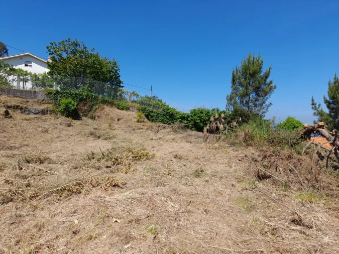 Terreno para Venda em Seixas Foto 6