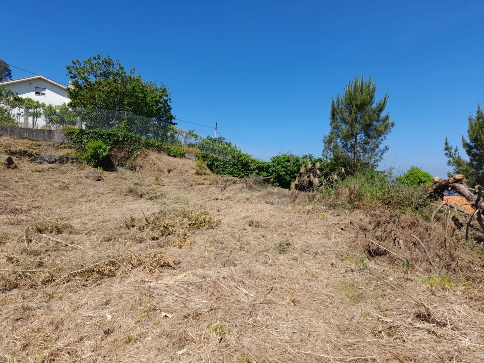Terreno para Venda em Seixas Foto 6