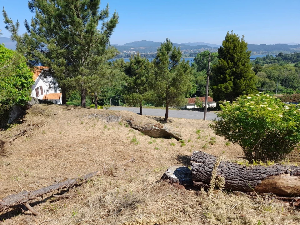Terreno para Venda em Seixas Foto 9