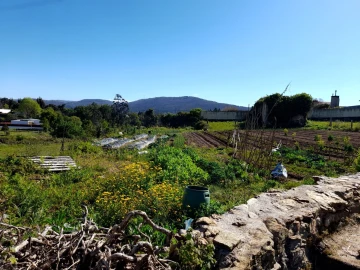 Terreno para Venda em Seixas