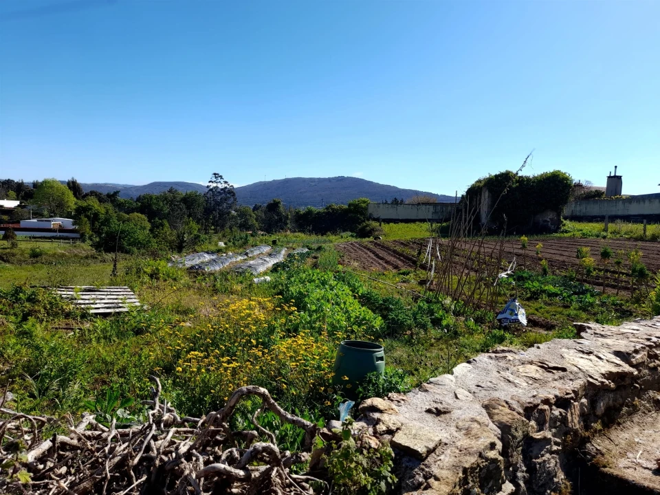 Terreno para Venda em Seixas Foto 7