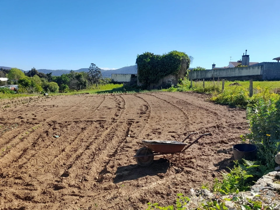 Terreno para Venda em Seixas Foto 6