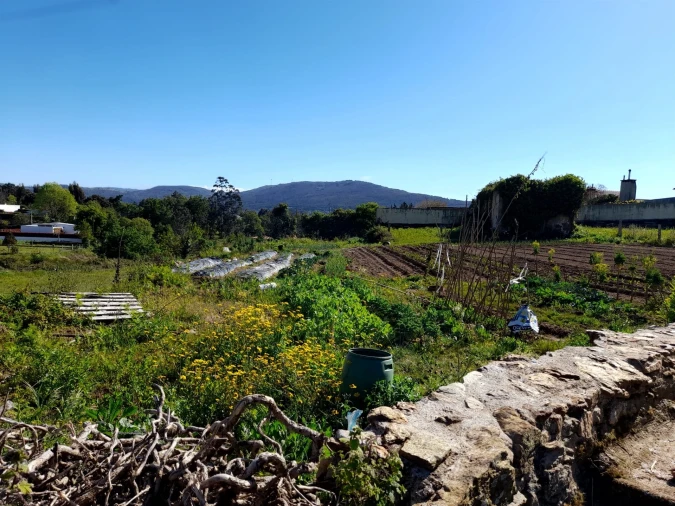 Terreno para Venda em Seixas Foto 7