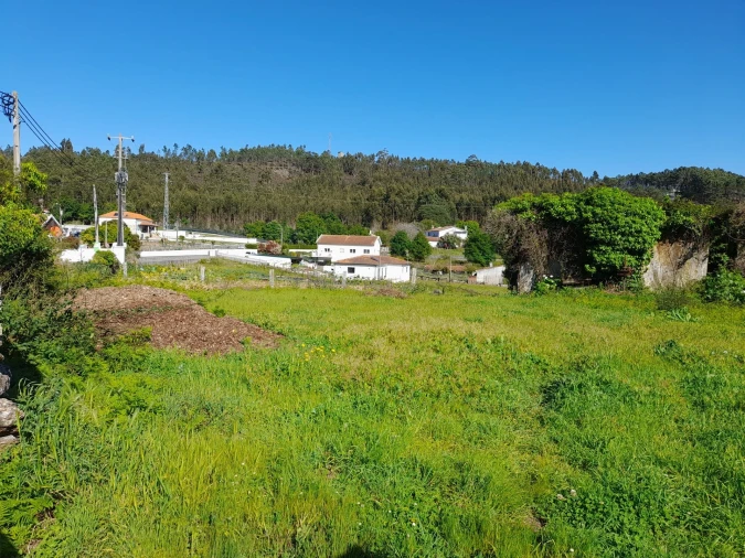 Terreno para Venda em Seixas Foto 5