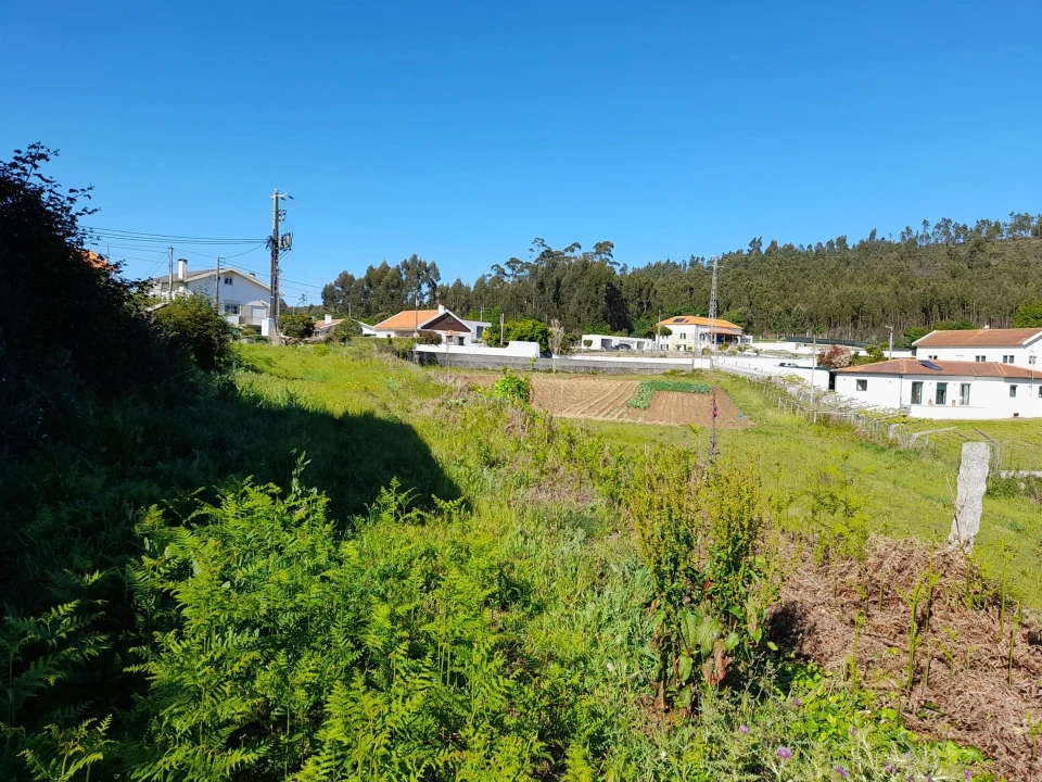 Terreno para Venda em Seixas Foto 2
