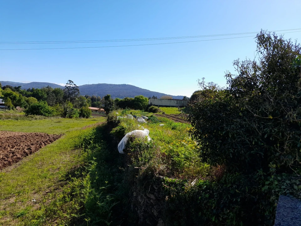 Terreno para Venda em Seixas Foto 4